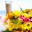 Flowers for Punta Cana Delivery