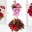 Punta Cana Valentine Flowers