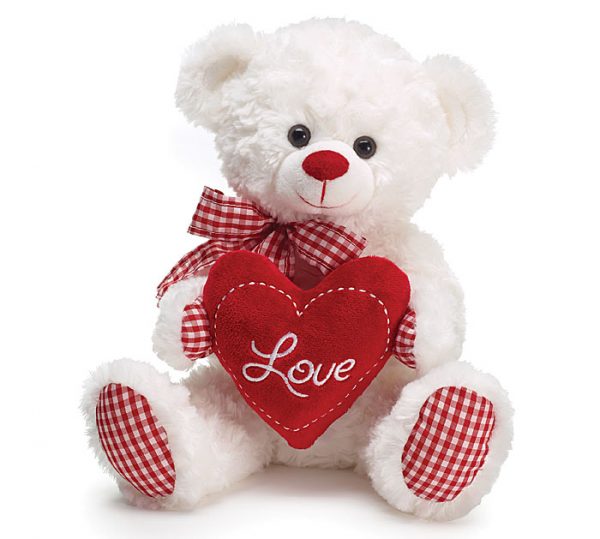 white and red teddy bear